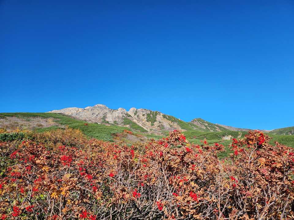 📍2025.07 御嶽山ロープウェイ🚡 涼を求めて長野と岐阜にまたがる御嶽山へ⛰️ ロープウェイで標高2,150mまで上がって、周辺をのんびり散策！登山はしなかったけど、ボーッとアルプスの山々を眺めたり。 自然の中でゆったり過ごす時間、最高でした🌲御嶽山日本百名山