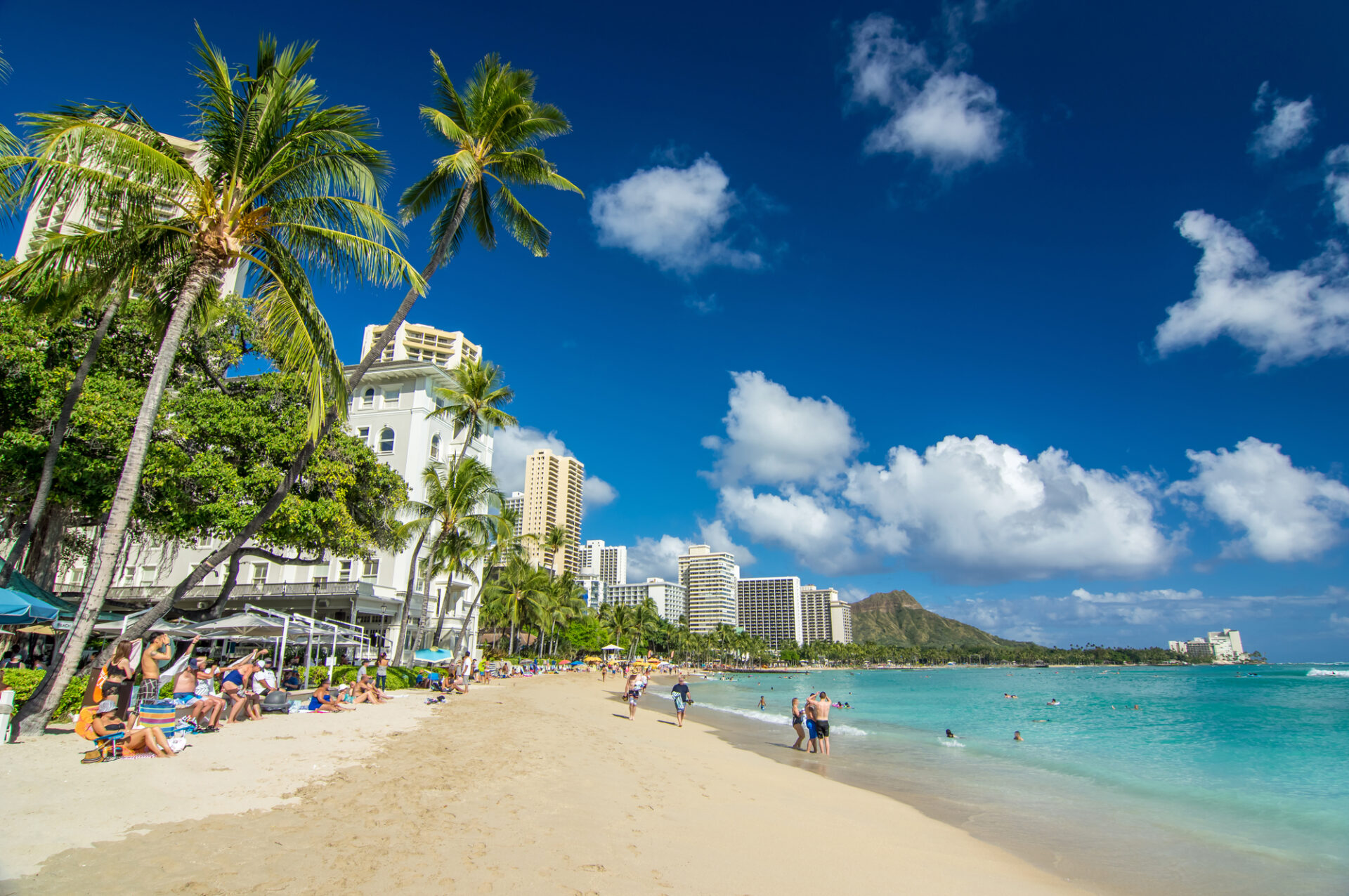 2025 ハワイのビーチおすすめ19選！有名から穴場まで楽しみ方を紹介