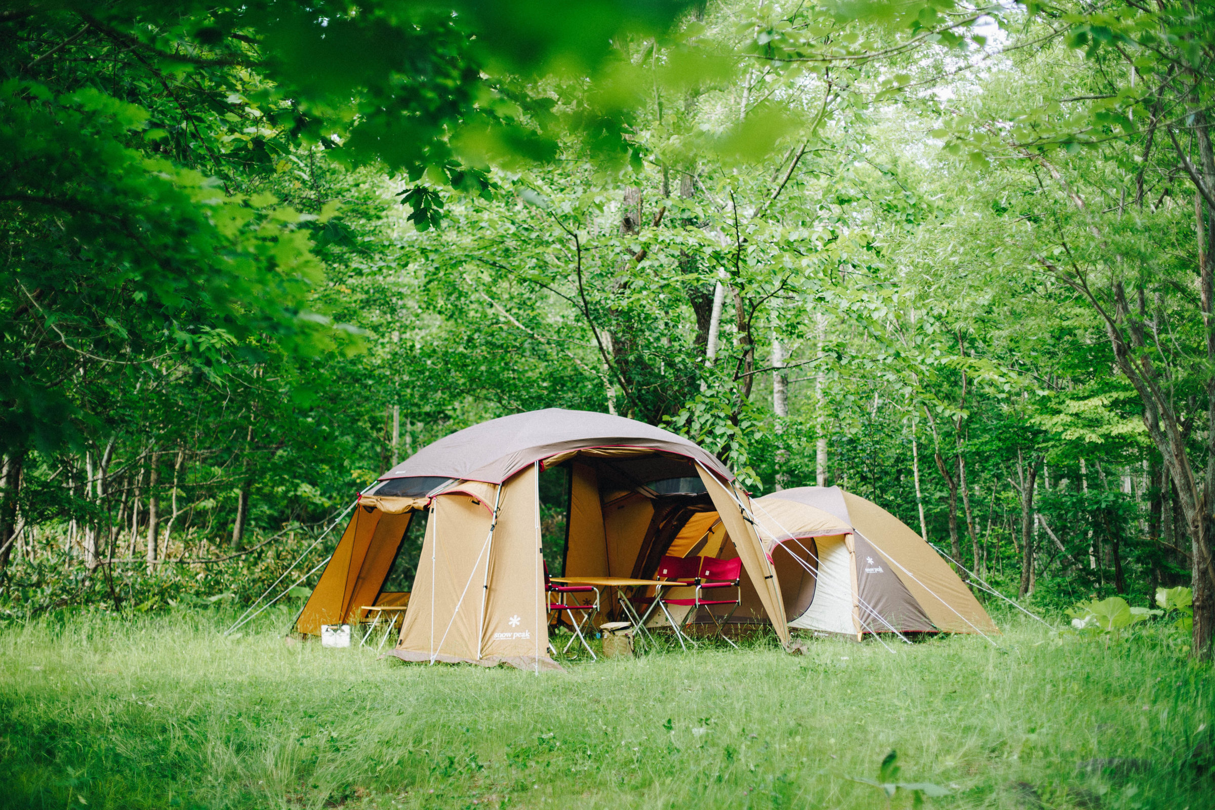 プロが選んだ！一度は行ってほしいおすすめキャンプ場13選HondaキャンプHonda公式サイト