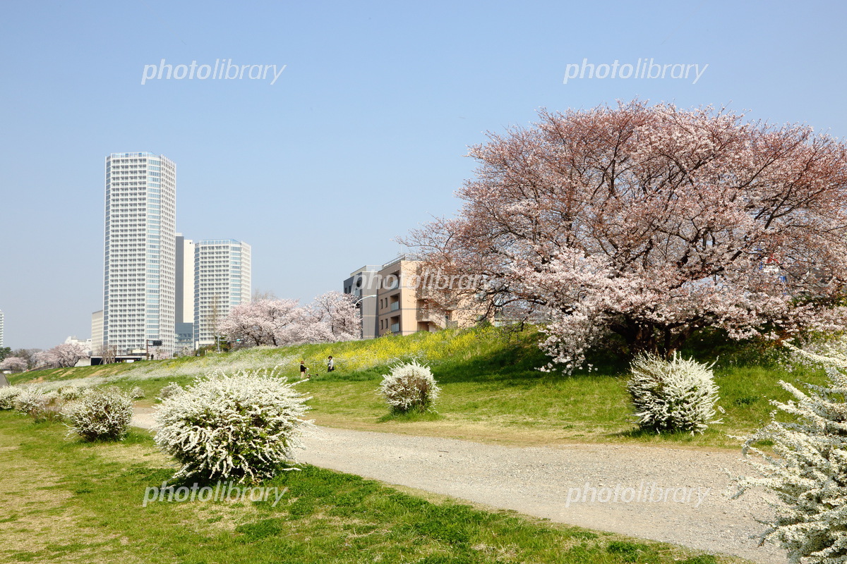 東京都世田谷区二子玉川の特徴 ニッポンの自治体 - 住みたいまちはこんな街 -駅・エリア住まいサーフィン研究所