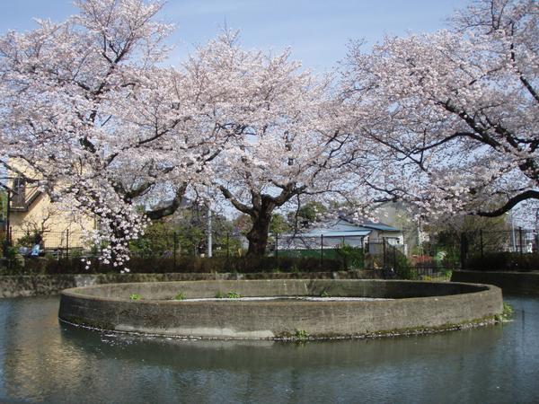 二ヶ領用水久地円筒分水