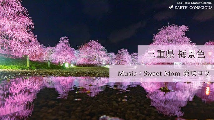 いなべ市農業公園『梅まつり』開催中！いなべに行こに。- 四季を感じる癒しのまち -いなべ市観光協会