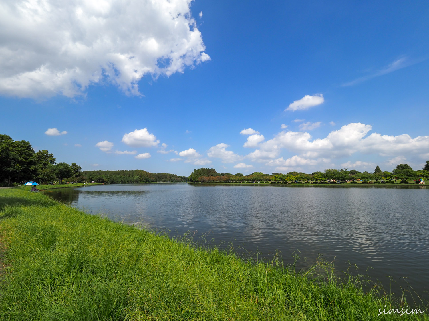 ペンシルベニア州知事の公邸で火災 放火の疑いで男性を拘束毎日新聞