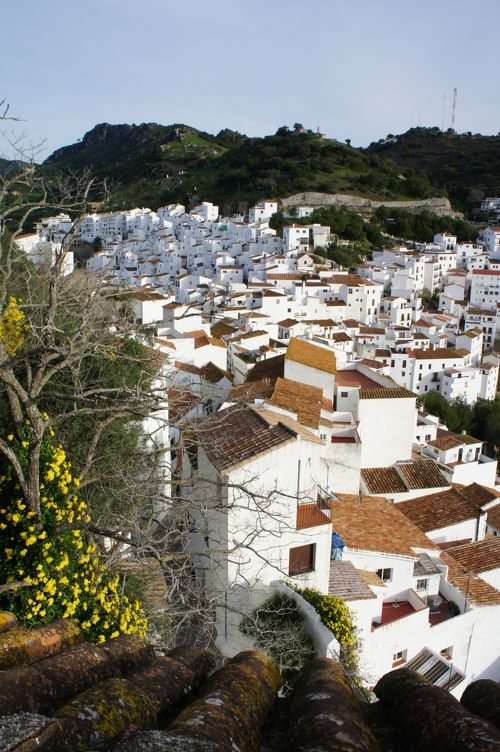 WorkAwayエコに暮らすおじさん宅に滞在。マラガ＠スペイン 海外遊学Day173 ふくれないおもち│3年後起業する会社員