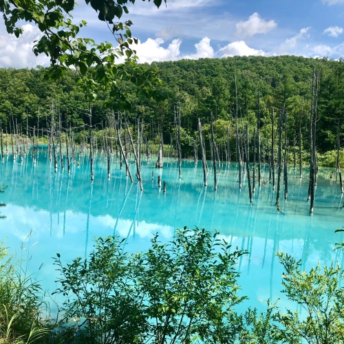 国内女子旅 学生旅行・卒業旅行特集 国内旅行・国内ツアーは日本旅行