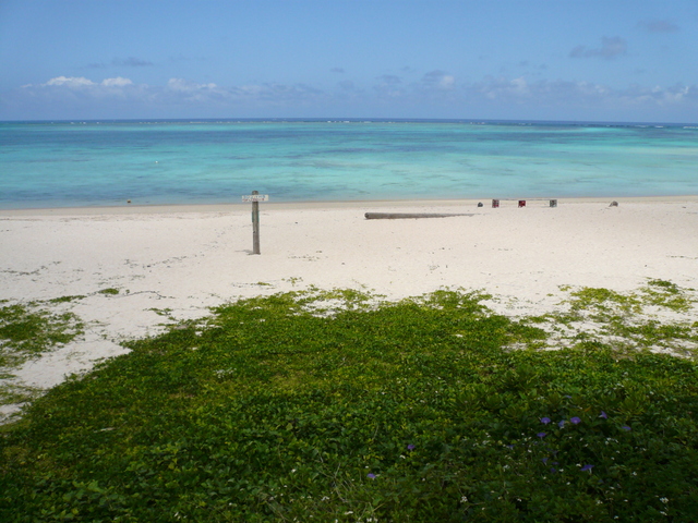 ウドノスビーチ