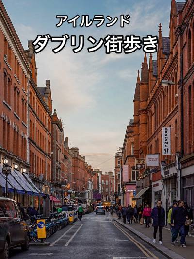 ダブリン城の優先入場チケット付きダブリン プライベート ツアー in Dublin