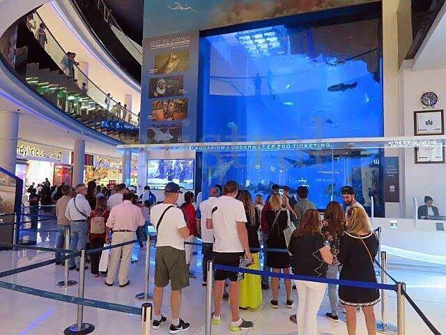 ドバイ水族館・水生生物園 入館チケットの予約Klook