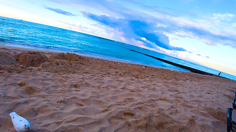 ハワイの風景素材 ビーチ無料動画素材てれそ