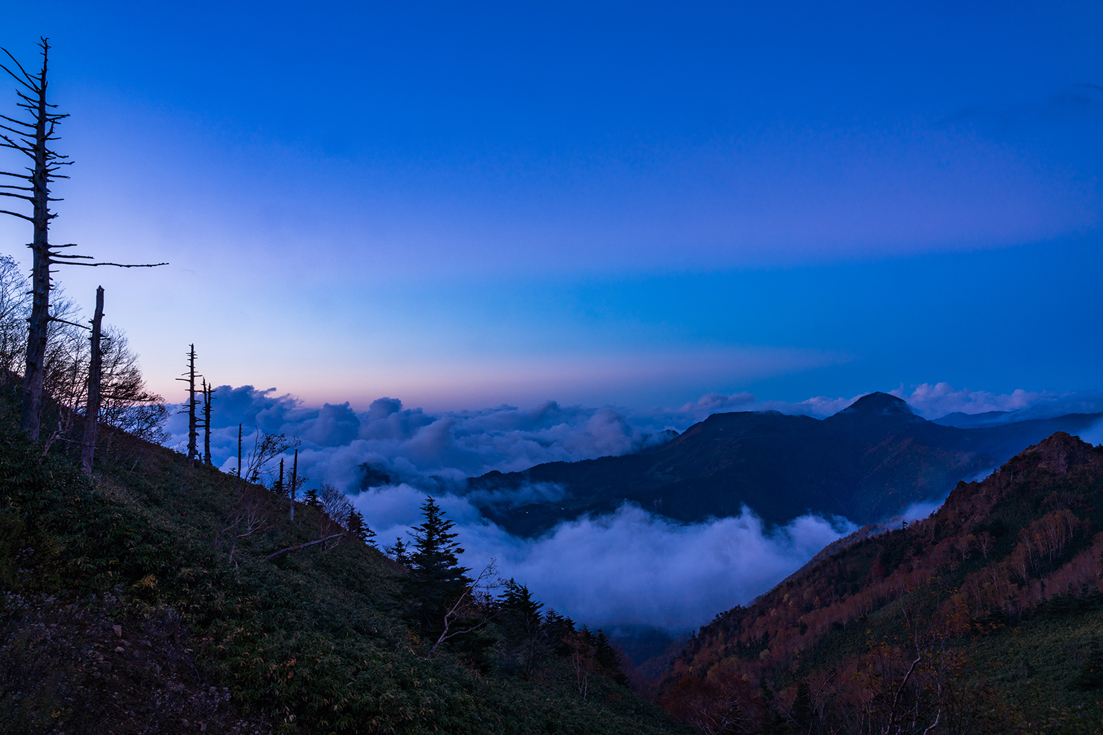雲海と満天の星空 パルコール嬬恋リゾートホテル群馬県- 宿泊予約は トクー！