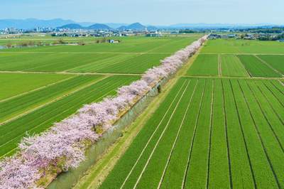 ドローン × 4Kカメラ動画・映像ヒーリングブルー・エア 只見線 絶景の秘境鉄道 ドローン × 4Kカメラ動画・映像 Healing BlueAirヒーリングブルー・エア 雪景色の只見線 絶景の秘境鉄道 動画約42分, approx42min. 感動のドローン × 4Kカメラ映像 期間限定20%OFF