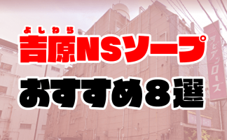 体験談】西川口のソープ「石亭」はNS/NN可？口コミや料金・おすすめ嬢を公開 | Mr.Jのエンタメブログ